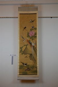 Image description is not available for DU1972.411